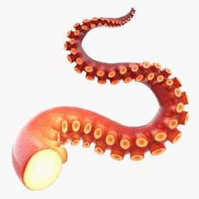 Octopus Tentacle Rigged 3D model